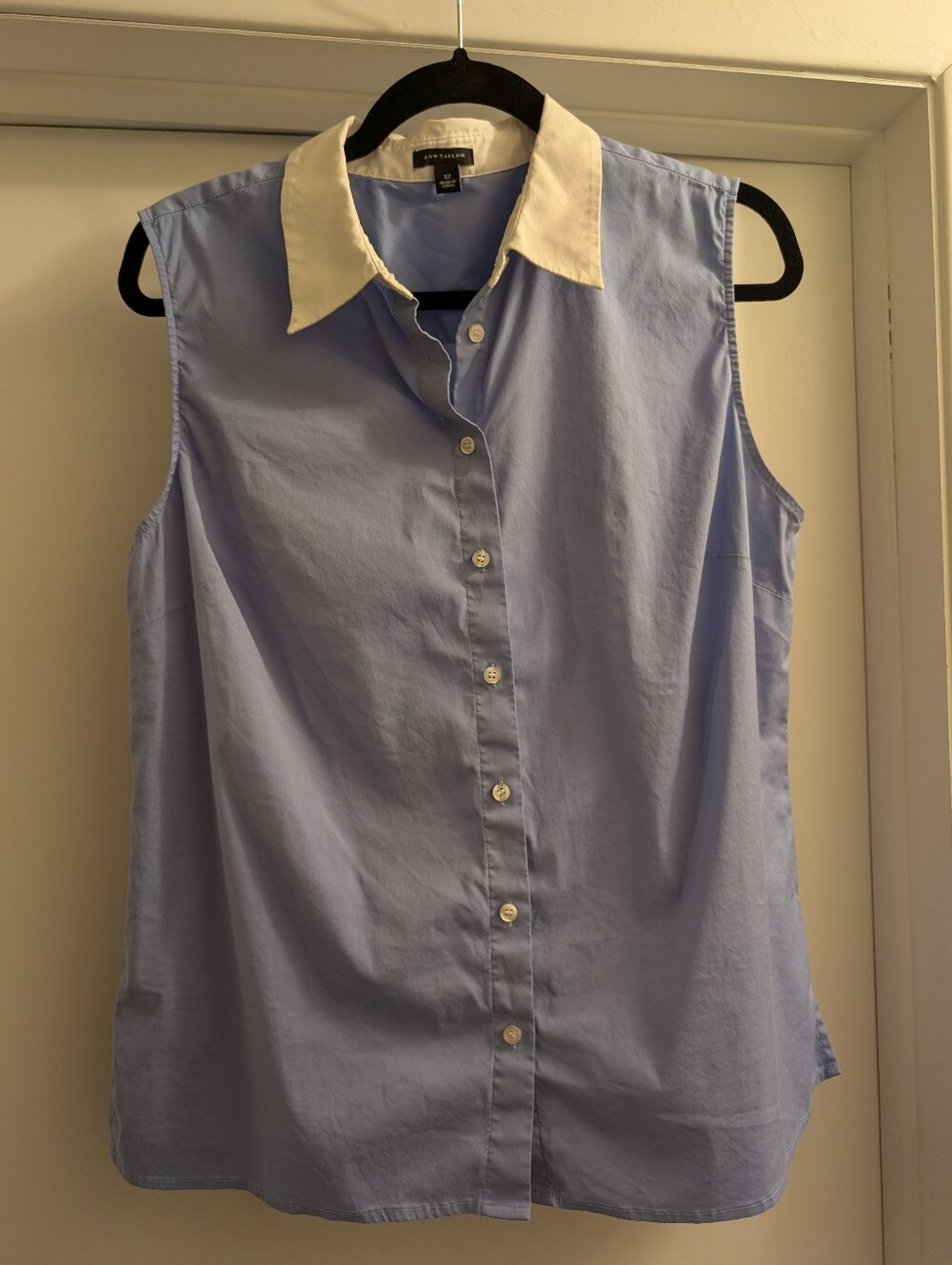 Ann Taylor sleeveless Blue White Button Down top - Size 12